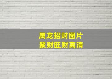 属龙招财图片 聚财旺财高清